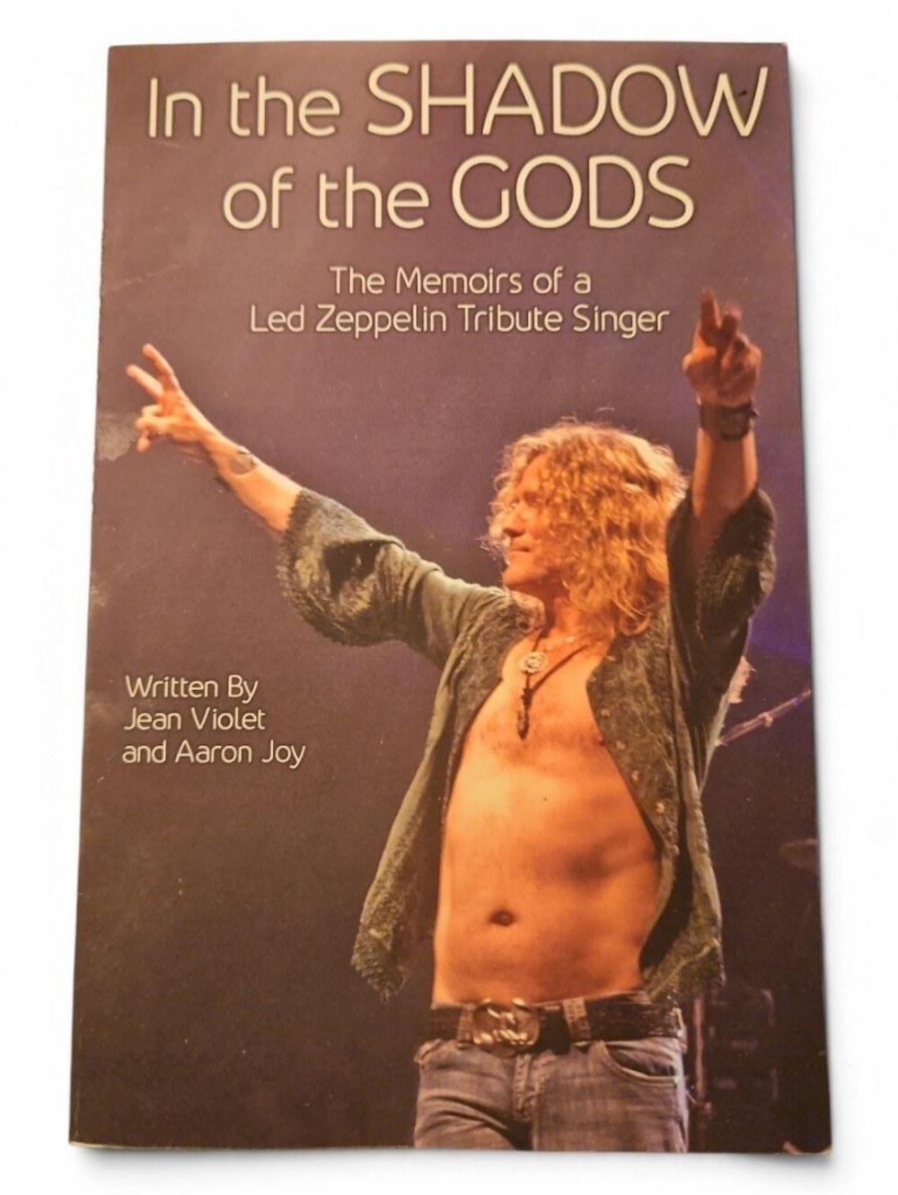 In the Shadow of the Gods - The Memoirs of a Led Zeppelin Tribute Singer